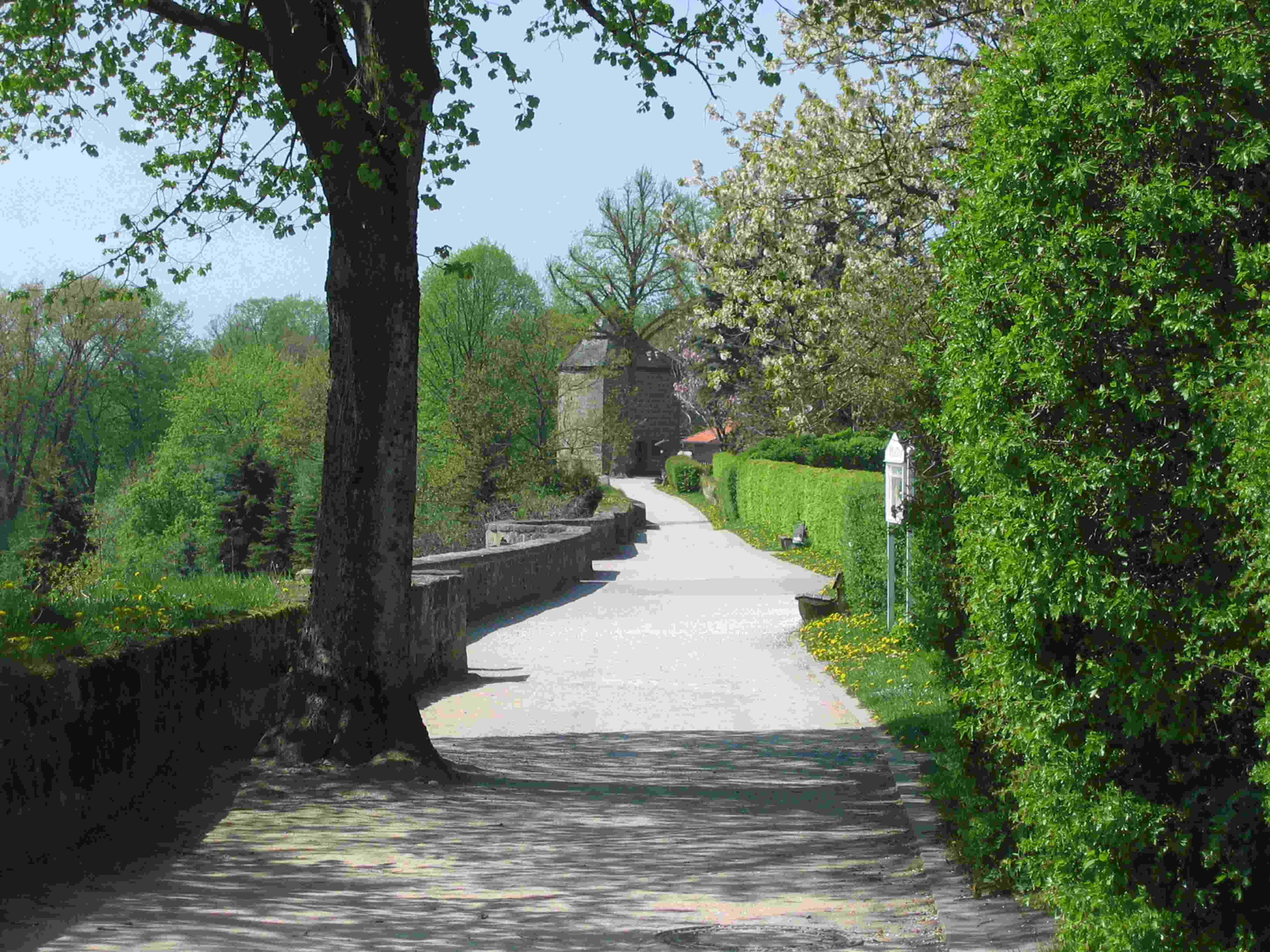 Singletreff kreis soest
