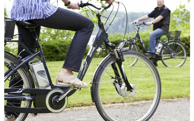 Ebike