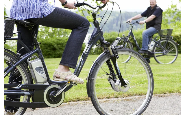 Ebike