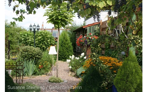 Blütenpracht querbeet