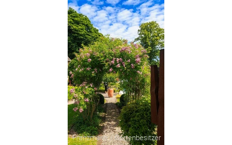 Gartenoa(h)se Franzmann