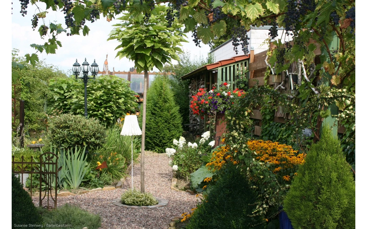 Blütenpracht querbeet