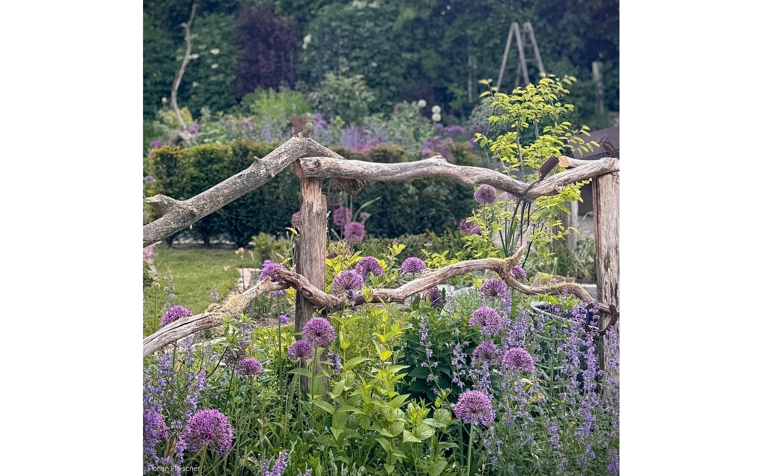 Zaun mit Blumen umwachsen