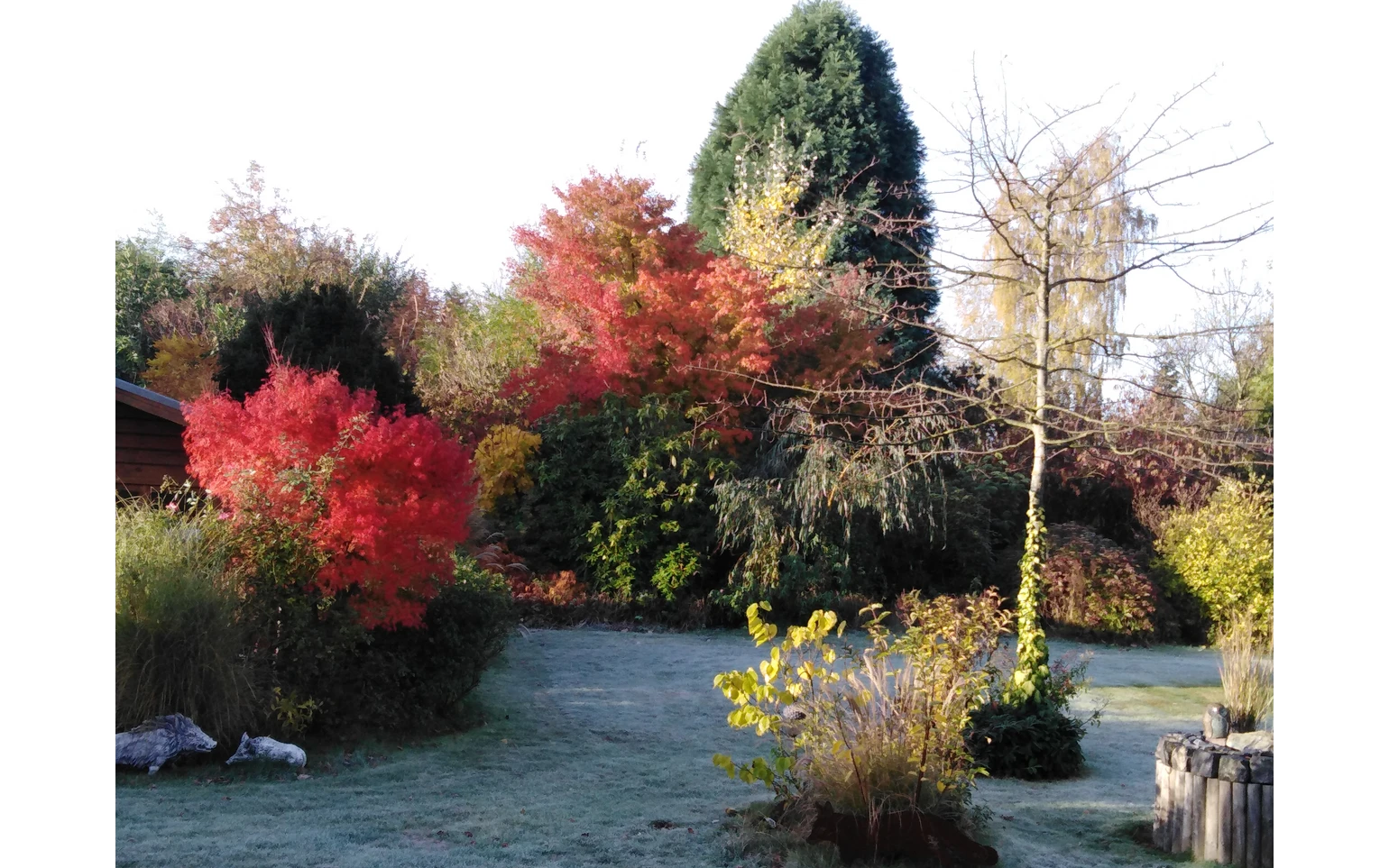 11_Natur, Bambus, Erlebnisgarten _ Brinkmann