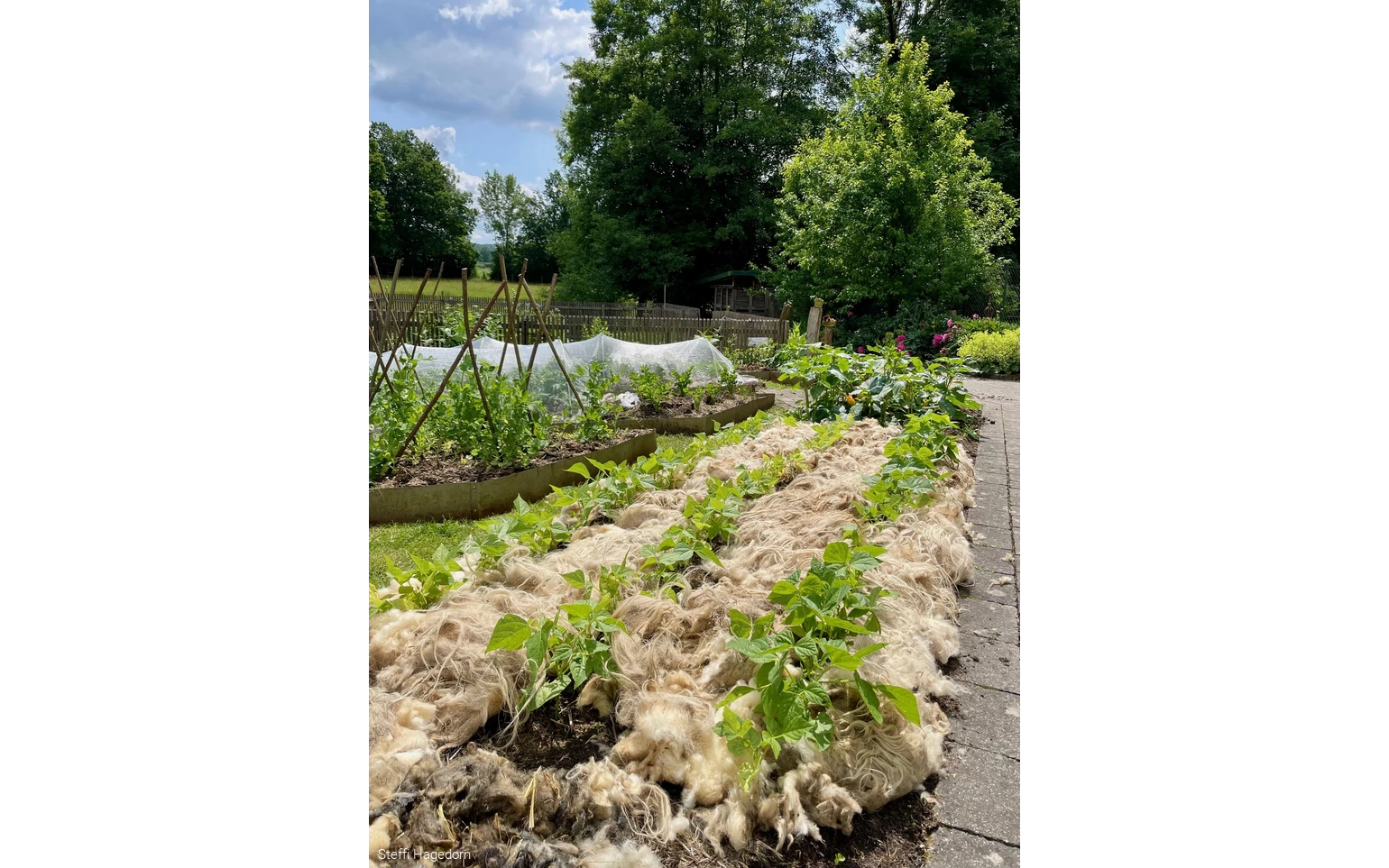 23_Nutzgarten mit lebendiger Vielfalt 2