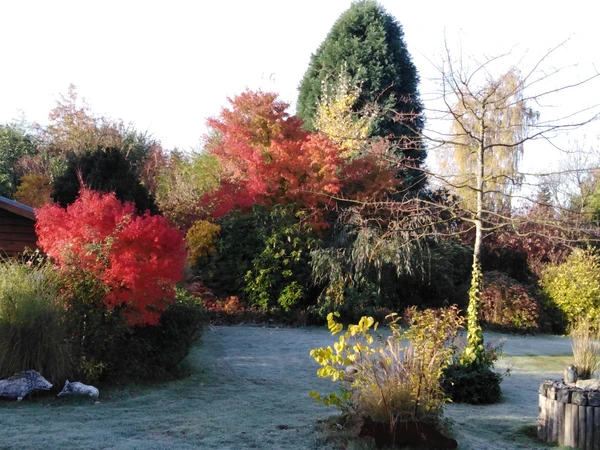 11_Natur, Bambus, Erlebnisgarten _ Brinkmann