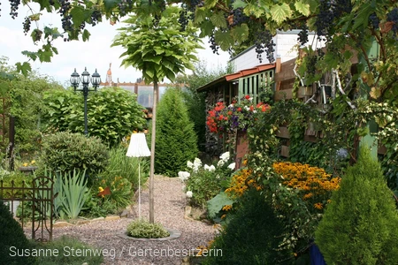 Blütenpracht querbeet