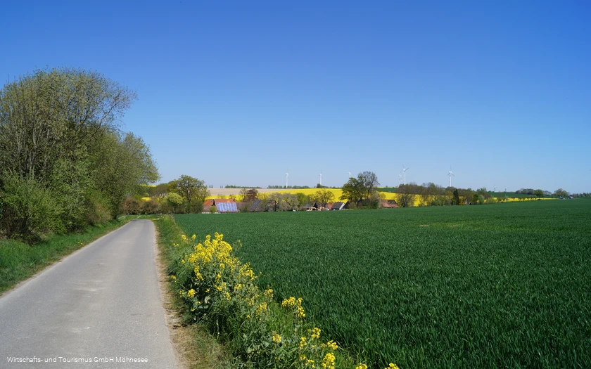 Felder Günne Möhnesee