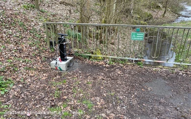 Radstation Waldwirtschaft Bilsteintal