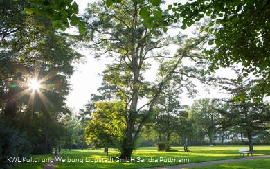 Bad Waldliesborn Kurpark