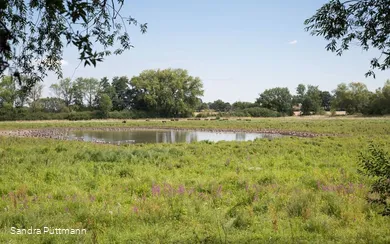 Naturschutzgebiet Woeste bei Bad Sassendorf