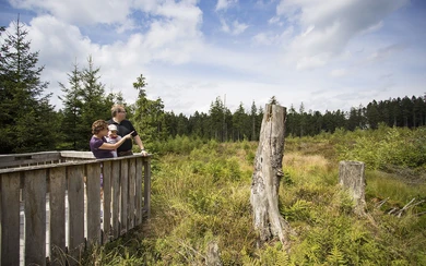 Foto Hochmoor- Warstein.jpg