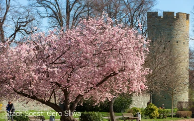 Soest, Am Kattenturm