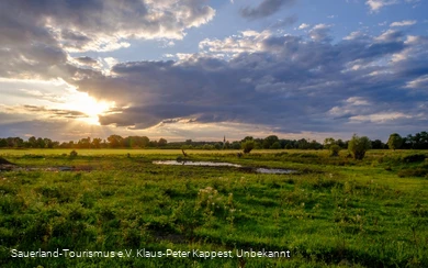 Naturschutzgebiet Woeste Bad Sassendorf