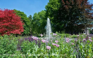 Brunnen Kurpark
