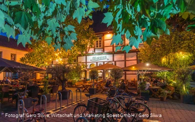 20250723_Aloisius 1.jpg