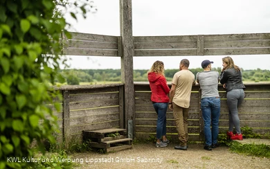 Lippeauen Aussichtspunkt Pastorat