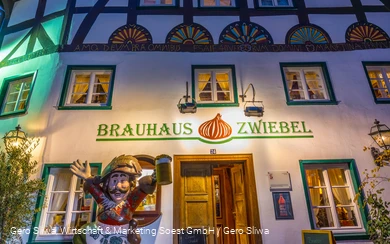 Zwiebel