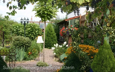 Blütenpracht querbeet