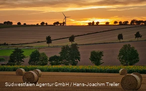 Über die Haar bei Sonnenuntergang Über die Haar bei Sonnenuntergang