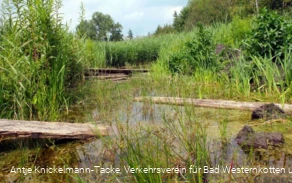 Naturschutz- & Naherholungsgebiet Muckenbruch Moorentnehme Naturschutz- & Naherholungsgebiet Muckenbruch Moorentnehme