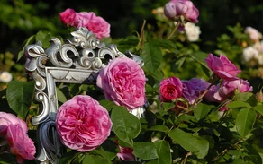 Titelbild Gärten.jpg