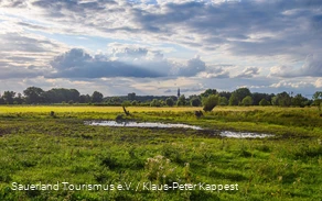 Naturschutz- und Moorabbaugebiet Woeste - Bad Sassendorf