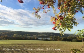 Feld Herbst Möhnesee