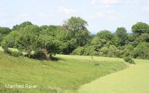 Blick auf die Westerschledde Blick auf die Westerschledde
