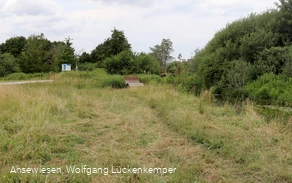 Ahsewiesen