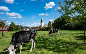 Welver-Dinker_Ahseweg_2025(c) Tim Seiffert.jpeg Welver-Dinker_Ahseweg_2025(c) Tim Seiffert.jpeg