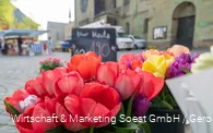 Soester Winzermarkt
