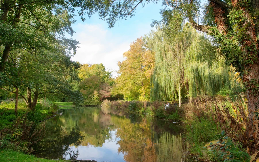 Werl - WERLS GRÜNE LUNGE