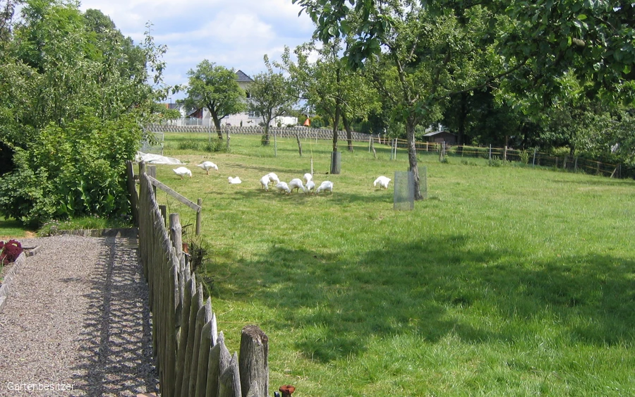 1_Plümpe-Heershoff