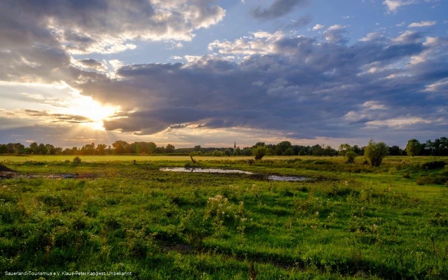 Naturschutzgebiet Woeste Bad Sassendorf