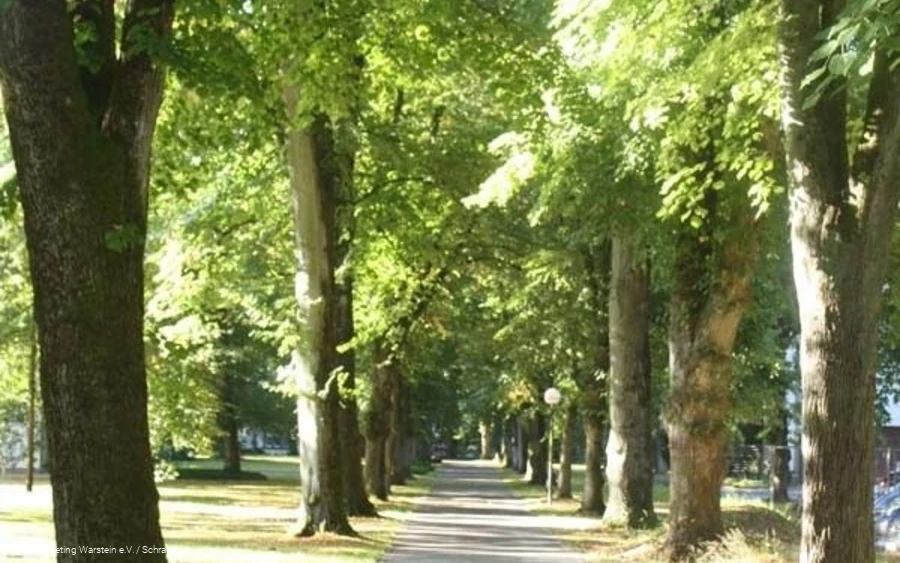 Weg im Park