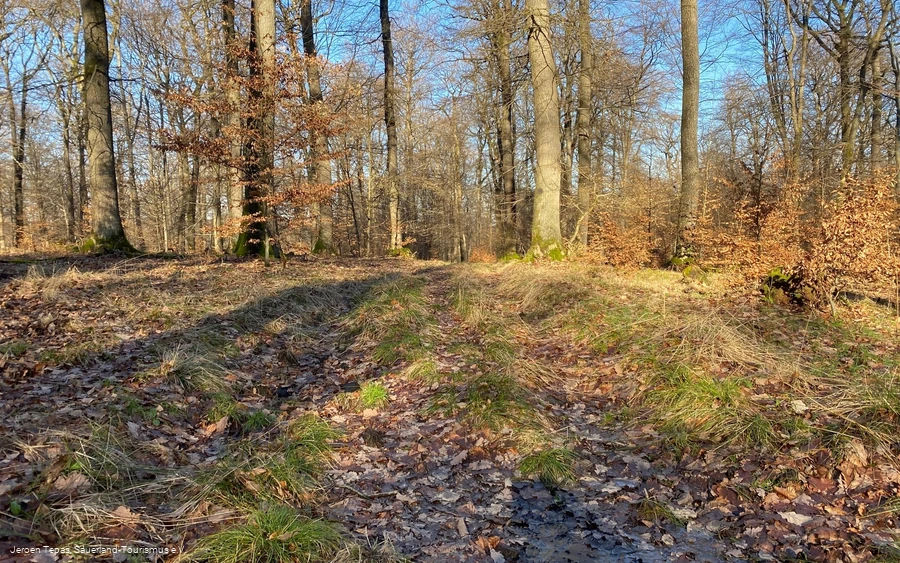 Trail Tour 47
