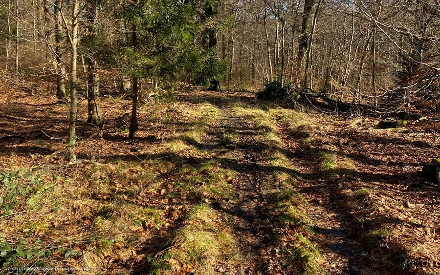 Trail Tour 47