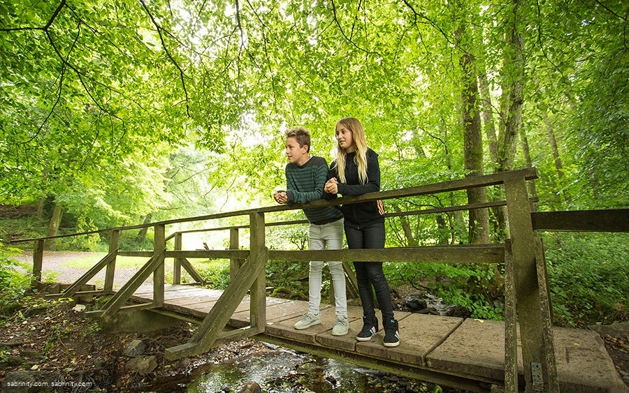 Brücke im Park