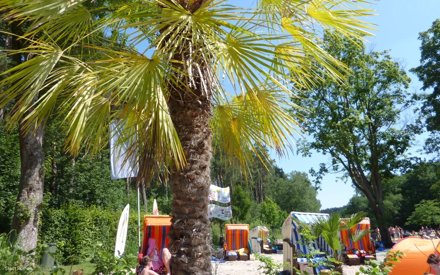 Biberbad Rüthen Palmenstrand mit Strandkörben Foto Stadt Rüthen Hötte.JPG Biberbad Rüthen Palmenstrand mit Strandkörben Foto Stadt Rüthen Hötte.JPG