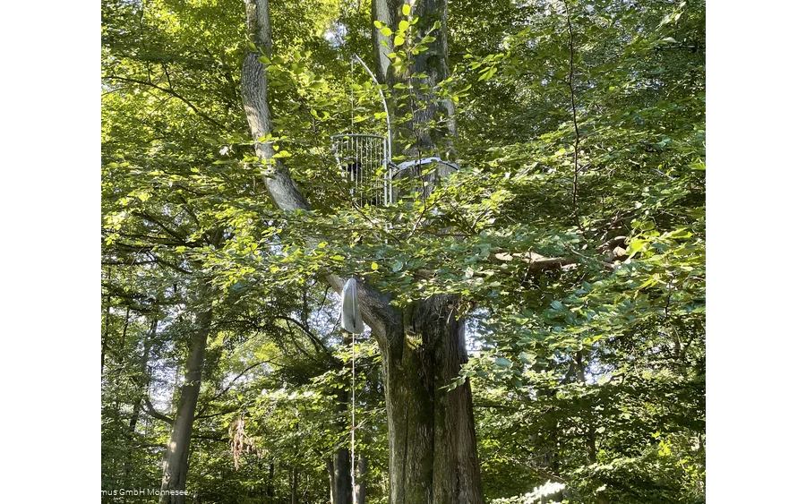 Baumharfe Klangwald Möhnesee
