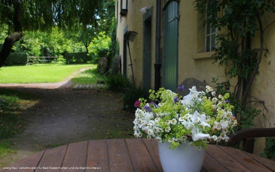 Schäferkämper Wassermühle Idylle