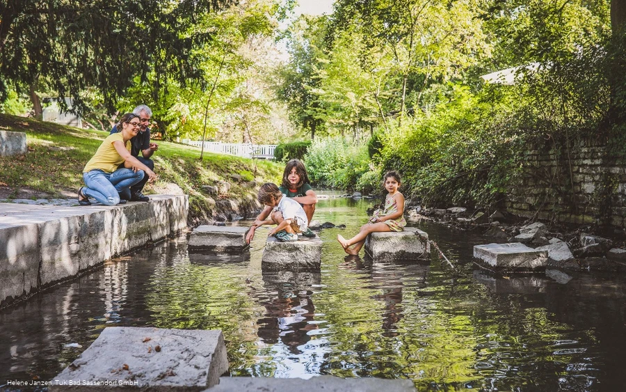 Trittsteine in der Rosenau