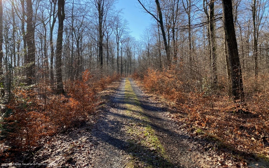 Oben auf dem Püstelberg