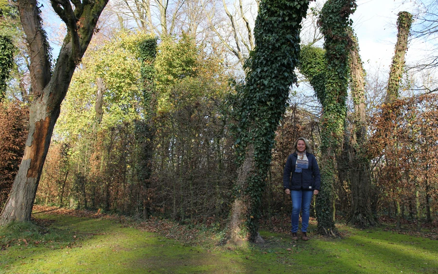 Lippetal - BAROCKE GARTENKUNST