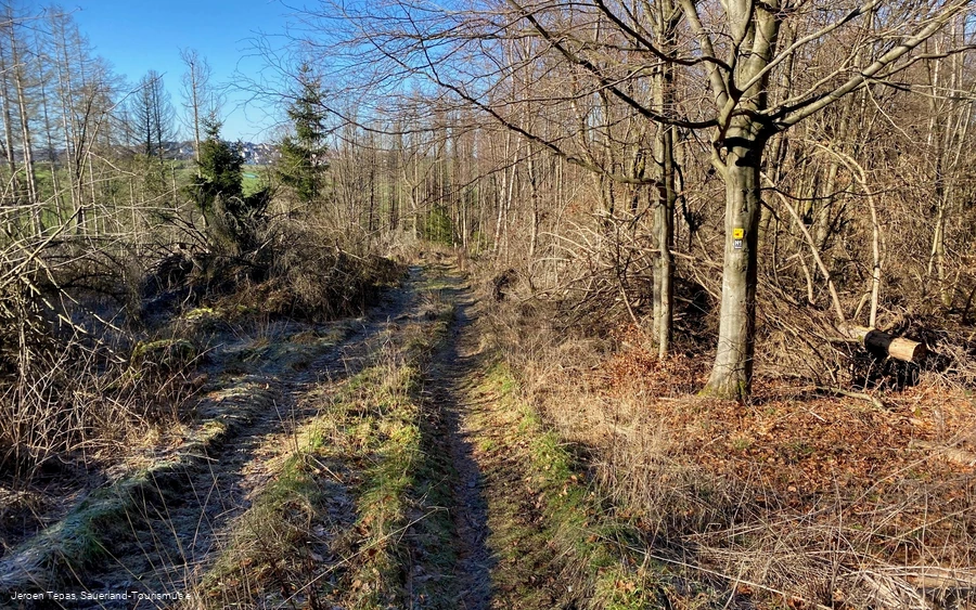Trail Tour 47