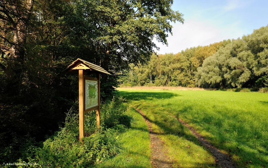Naturlehrpfad durchs Naturschutzgebiet Rosenau