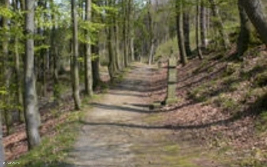 Weg zur Kapelle