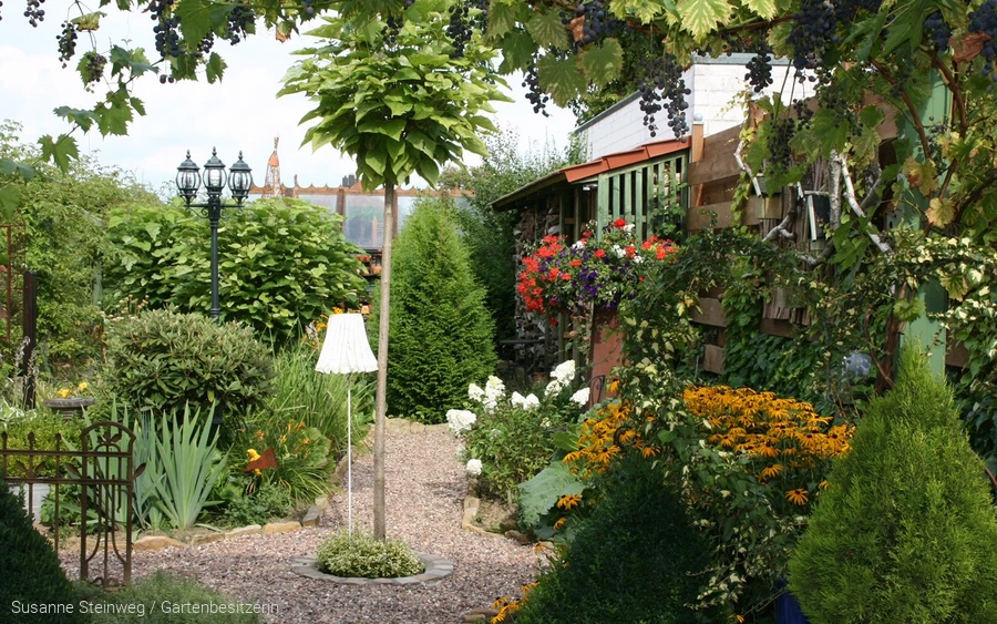 Blütenpracht querbeet