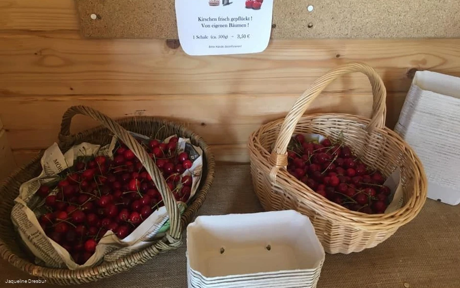 frische Kirschen